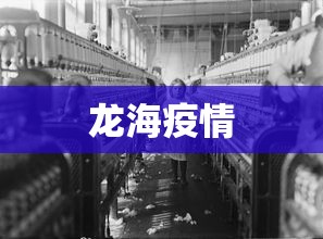 龙泉市疫情防控指挥部办公室电话