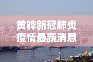 一键操作“手机斗牛软件怎么开挂(透视)”附开挂脚本详细步骤