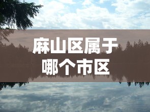 技巧规则“琼崖海南麻将开挂作弊软件助手	”详细透视辅助教程官方正版下载