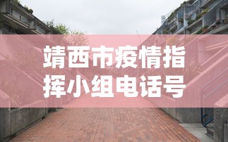 靖西市疫情指挥小组电话号码