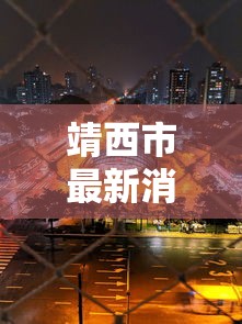 靖西市最新消息 靖西市最新消息