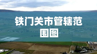 终于清楚“微乐陕西三带到底有没有挂	”(详细透视教程)-