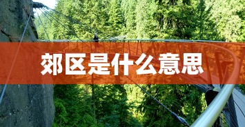 【盘点十款】“佛手在线十三道有挂吗”开挂辅助教程