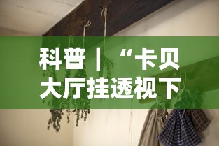 科普｜“卡贝大厅挂透视下载”分享必要外挂教程