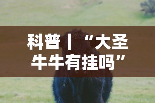 科普｜“大圣牛牛有挂吗”开挂方法
