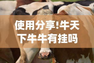 使用分享!牛天下牛牛有挂吗	”(详细开挂教程)
