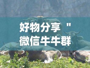 好物分享 ＂微信牛牛群有透视挂吗”(透视)辅助透视教程