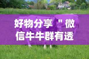 热点回顾 ＂微乐四川麻将真能开挂吗”(外卦神器下载)