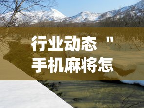 行业动态 ＂手机麻将怎么买到挂”开挂(透视)辅助神器