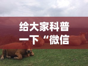 给大家科普一下“微信六人牛牛房有挂吗(确实真的有挂)-知乎 给大家科普一下“微信六人牛牛房有挂吗(确实真的有挂)-知乎