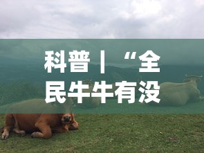 科普｜“全民牛牛有没有挂”(透视)其实确实有挂