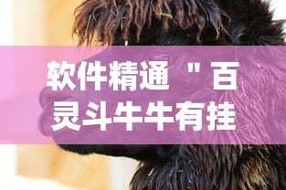 软件精通 ＂百灵斗牛牛有挂吗	”(透视)其实真的有挂