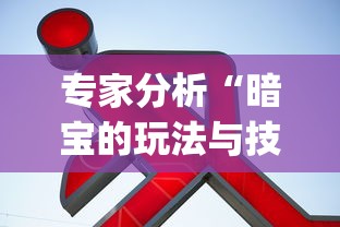 专家分析“暗宝的玩法与技巧”(详细透视教程)-