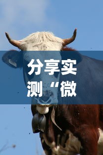 分享实测“微信斗牛牛牛群有挂吗”(其实是有挂)