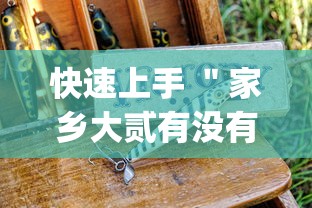 快速上手 ＂家乡大贰有没有人开挂”(原来确实是有挂)