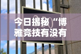 今日揭秘“博雅竞技有没有挂”辅助工具插件,揭秘技巧开挂