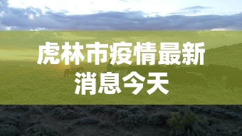 大家普及一下“建德十三道有挂吗”确实果然有挂