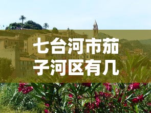 七台河市茄子河区有几个乡镇